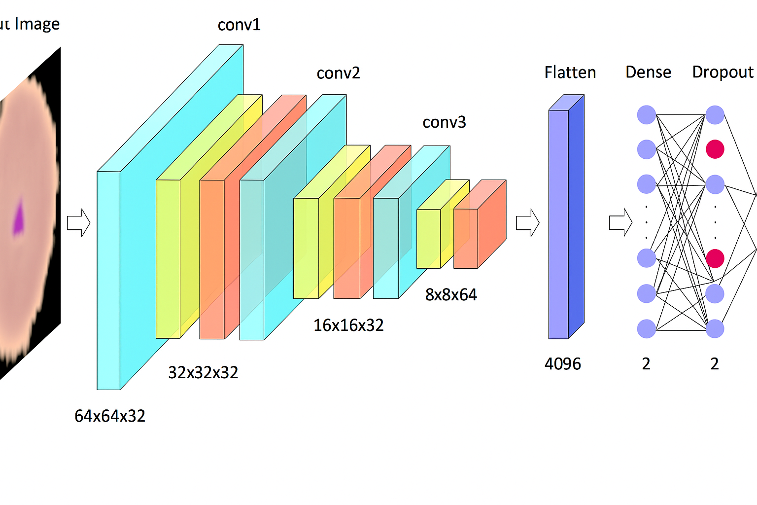 Custom CNN Architecture